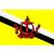 Brunei Flag