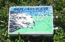 Squawker Icon