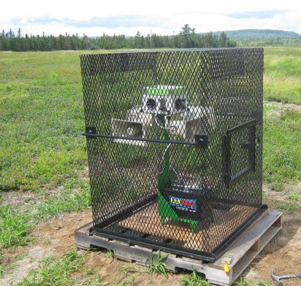 Wetlands Wailer Blueberry version security cage